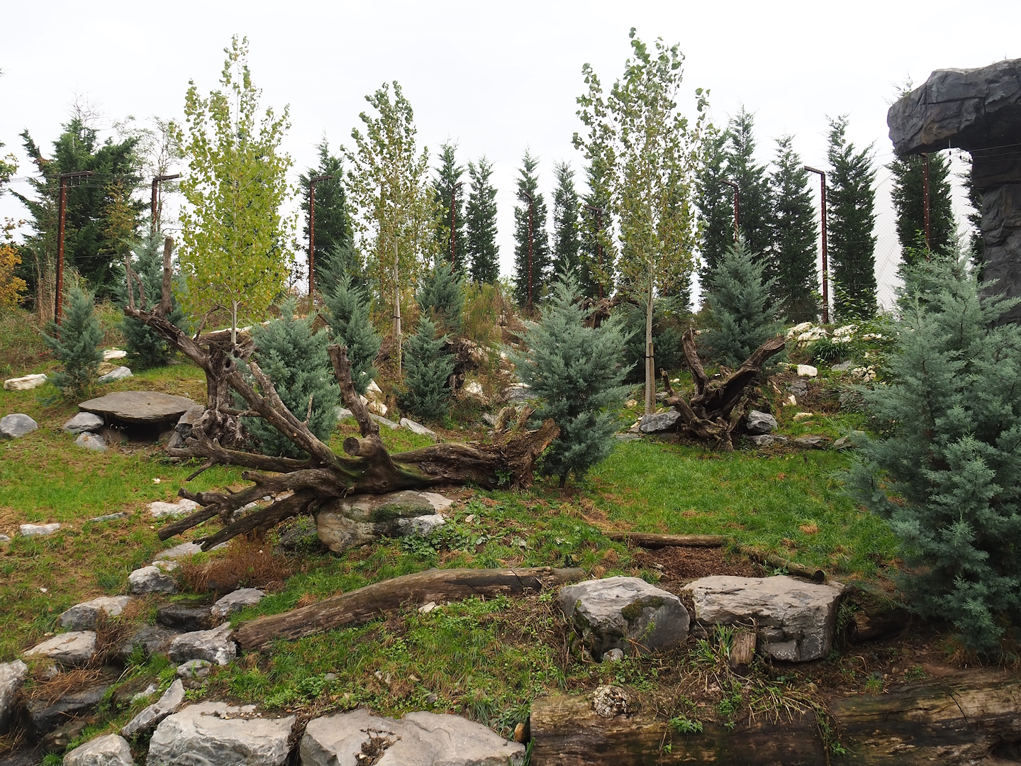 Snow leopard exhibit, 2023-10-13