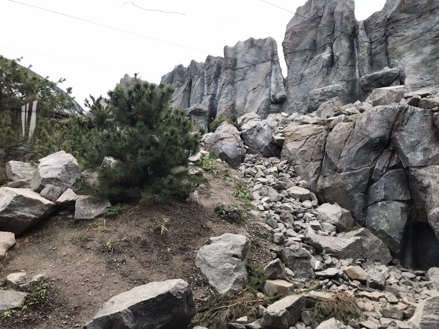 Snow leopard exhibit 280118