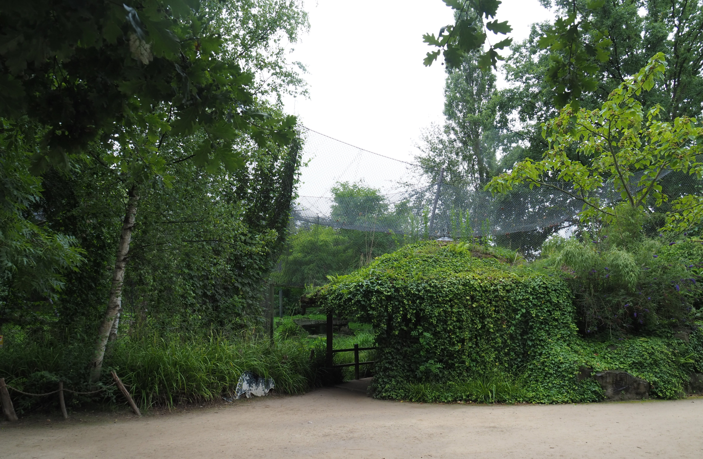 Snow leopard exhibit and viewing area, 2020-07-14