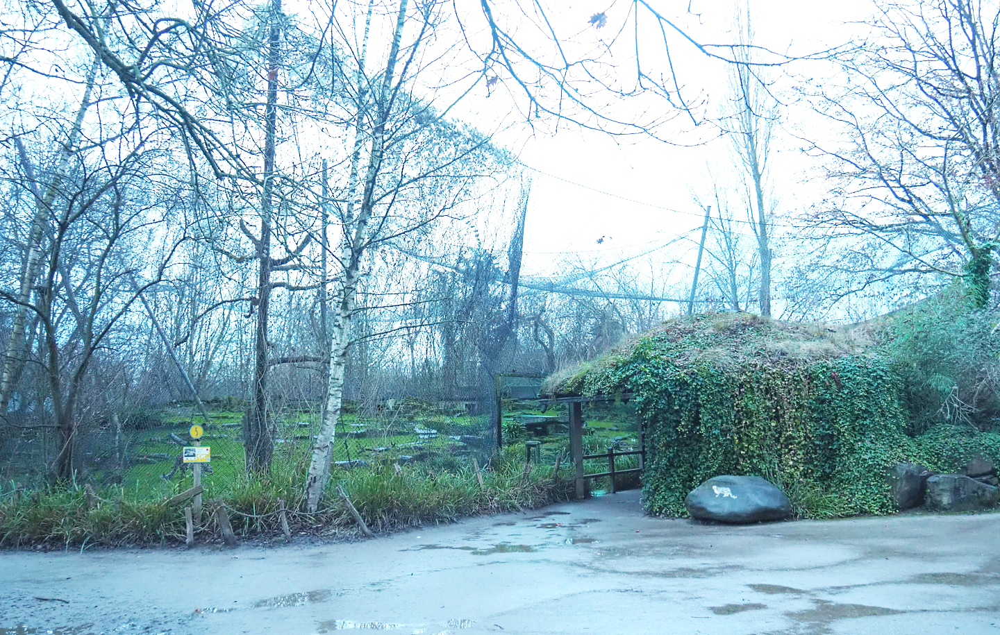 Snow leopard exhibit and viewing hut, 2022-01-02