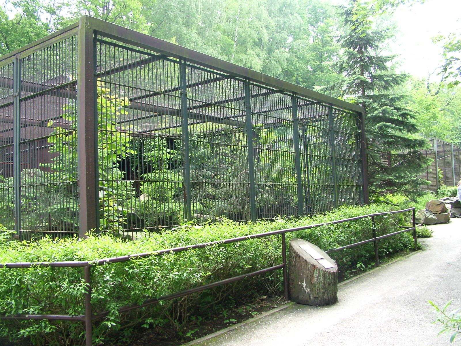 Snow Leopard exhibit at Ostrava, 29/05/10