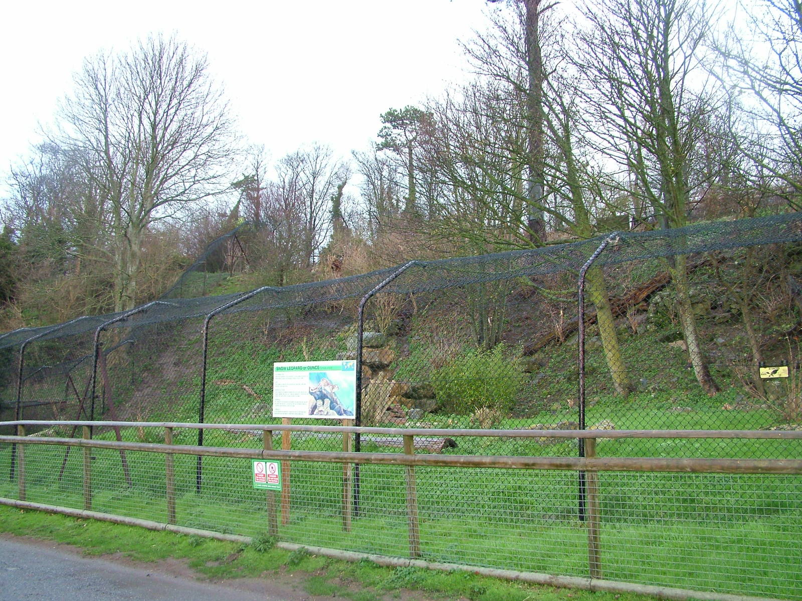 Snow Leopard exhibit at Port Lympne 27/11/09