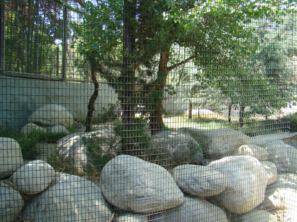Snow Leopard exhibit at the Los Angeles Zoo
