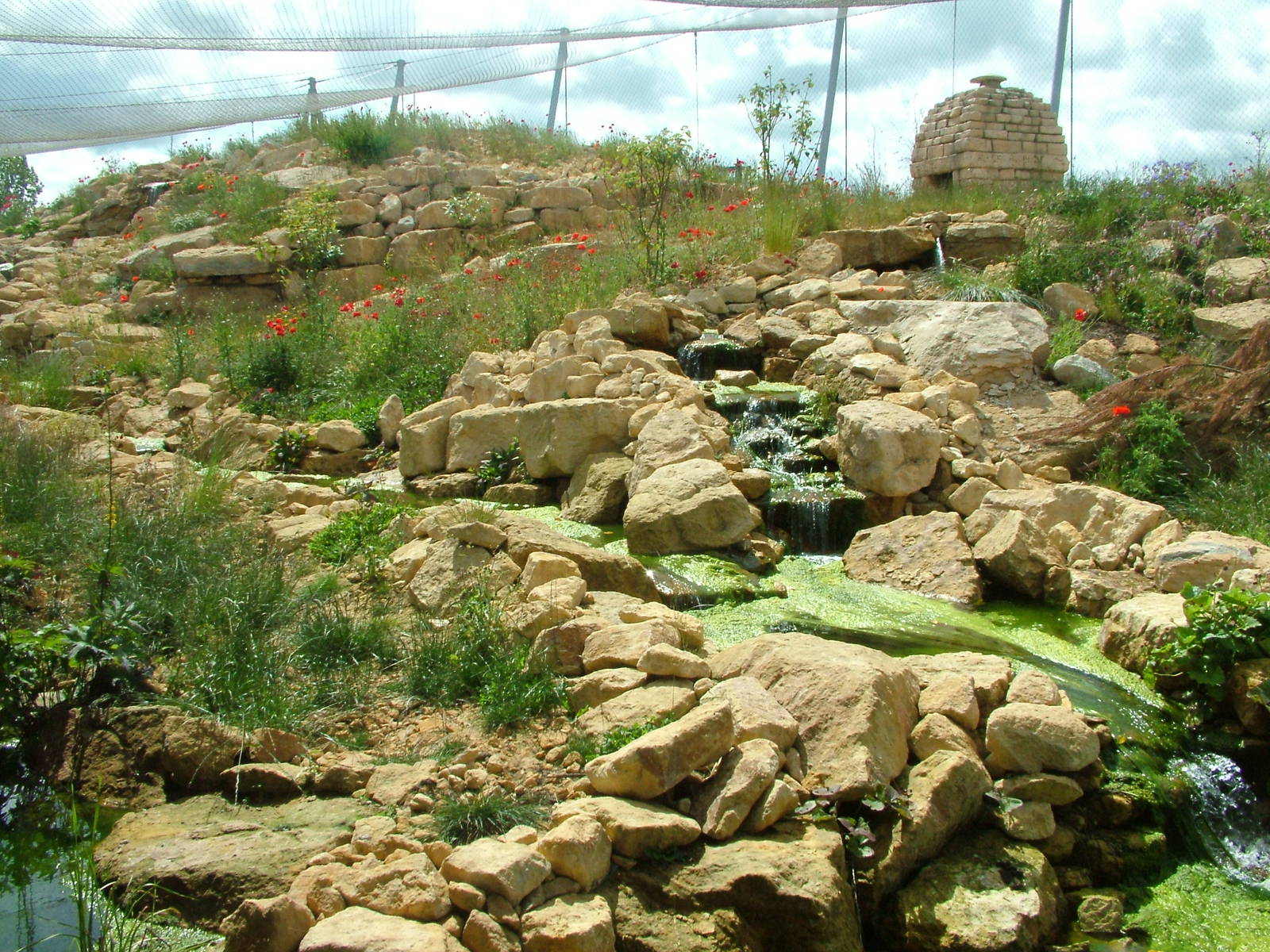 Snow Leopard Exhibit at Twycross, 18/06/11