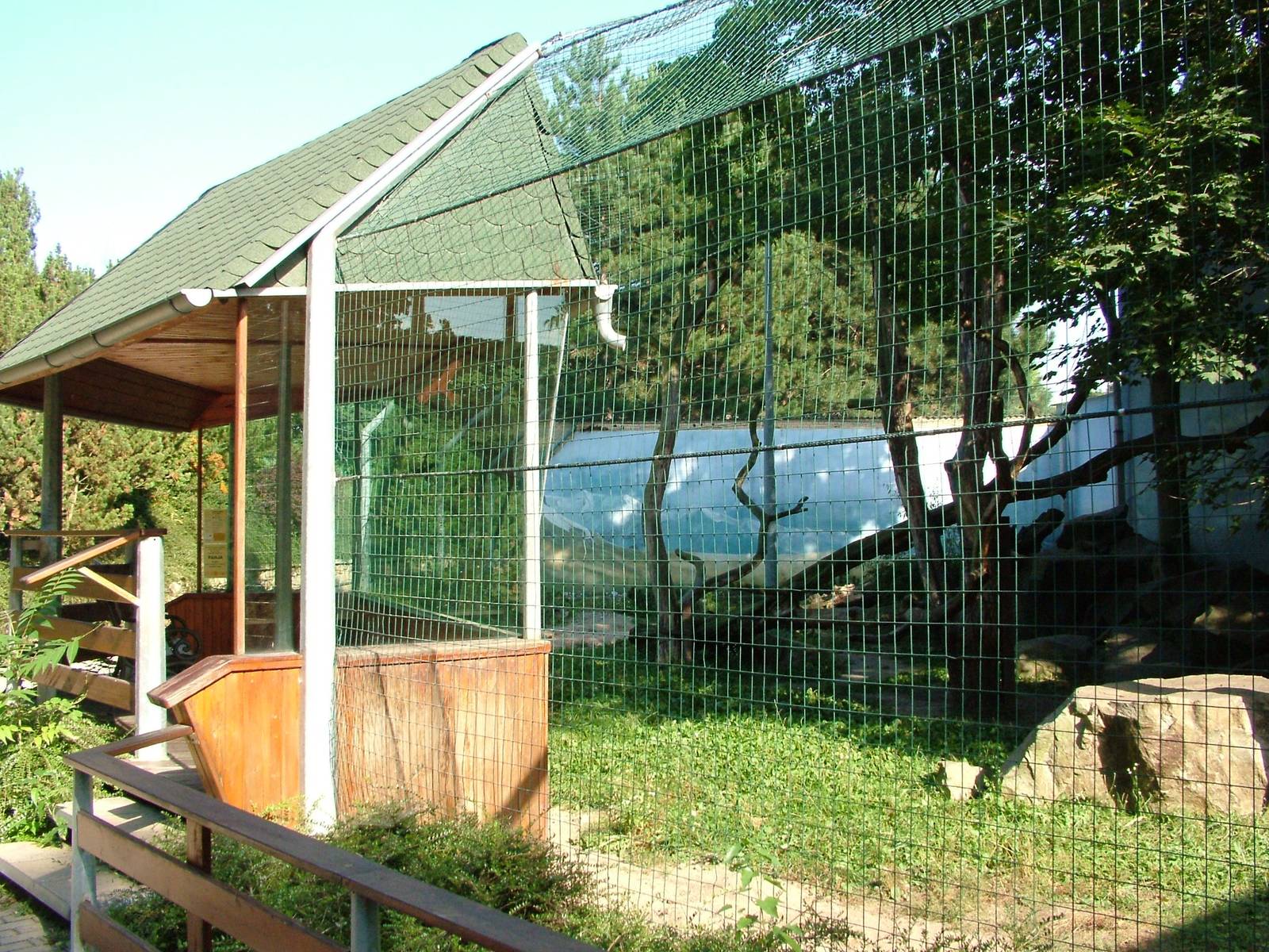 Snow Leopard Exhibit at Usti, 29/08/12