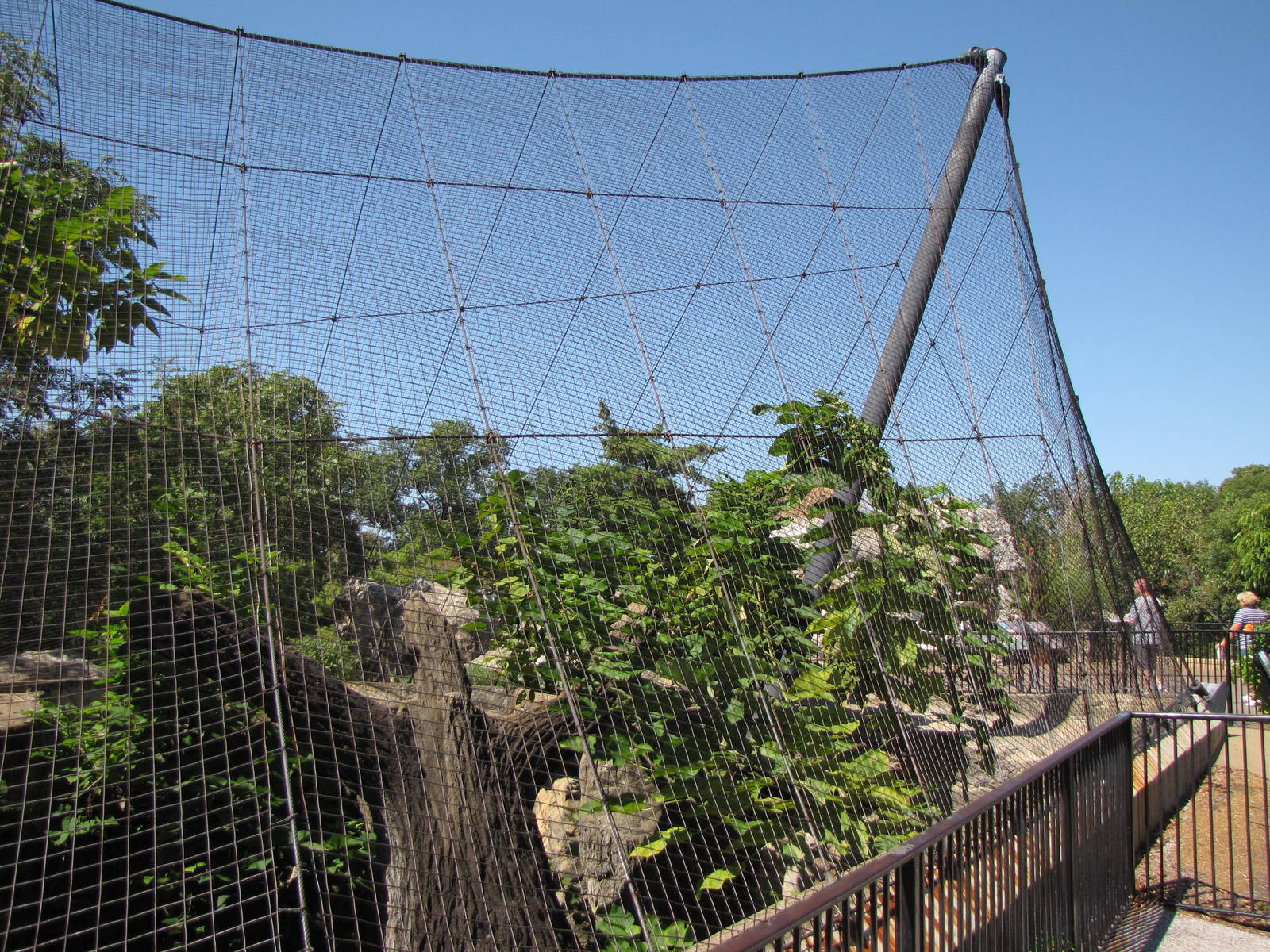 Snow Leopard Exhibit - Big Cat Country