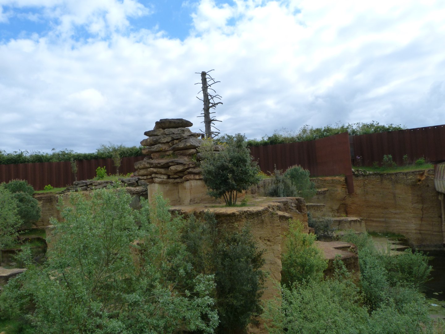 Snow leopard exhibit -Bioparc de Doué la Fontaine (2025)
