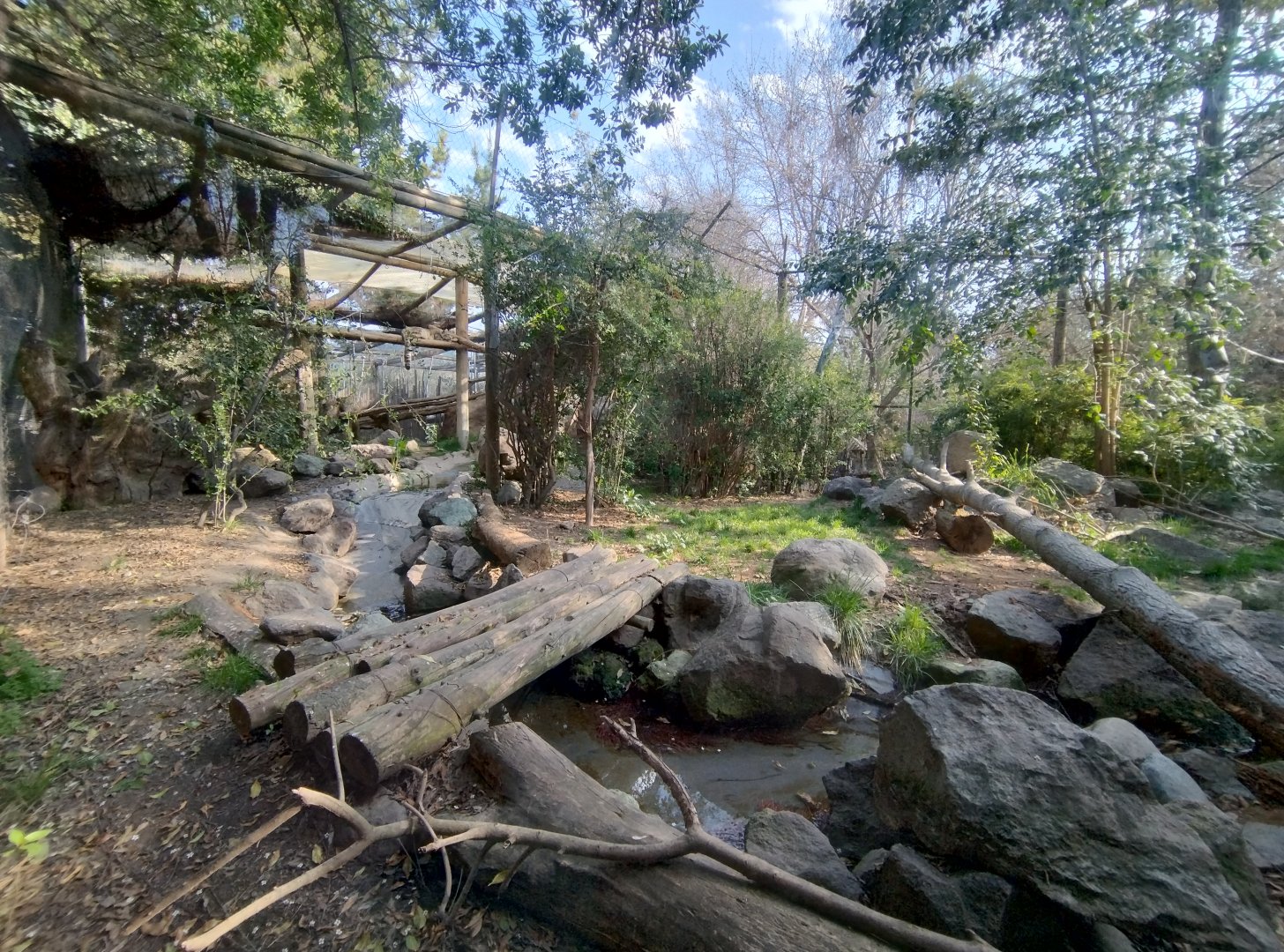 Snow leopard exhibit - Buin zoo
