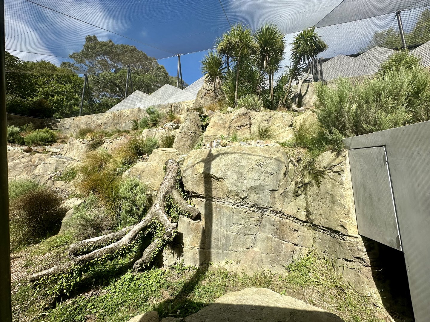 Snow Leopard Exhibit - Cave Entrance