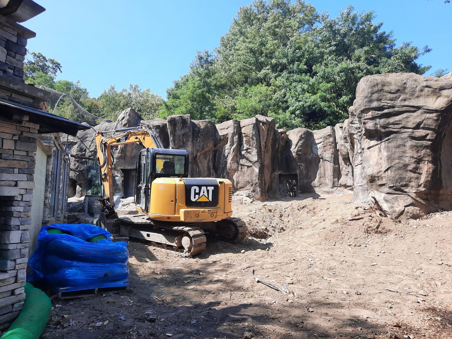 Snow Leopard Exhibit Construction