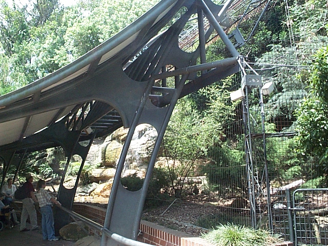 snow leopard exhibit Dec2001