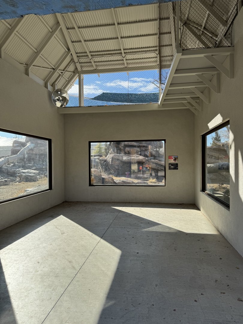 Snow Leopard exhibit first public viewing and signs