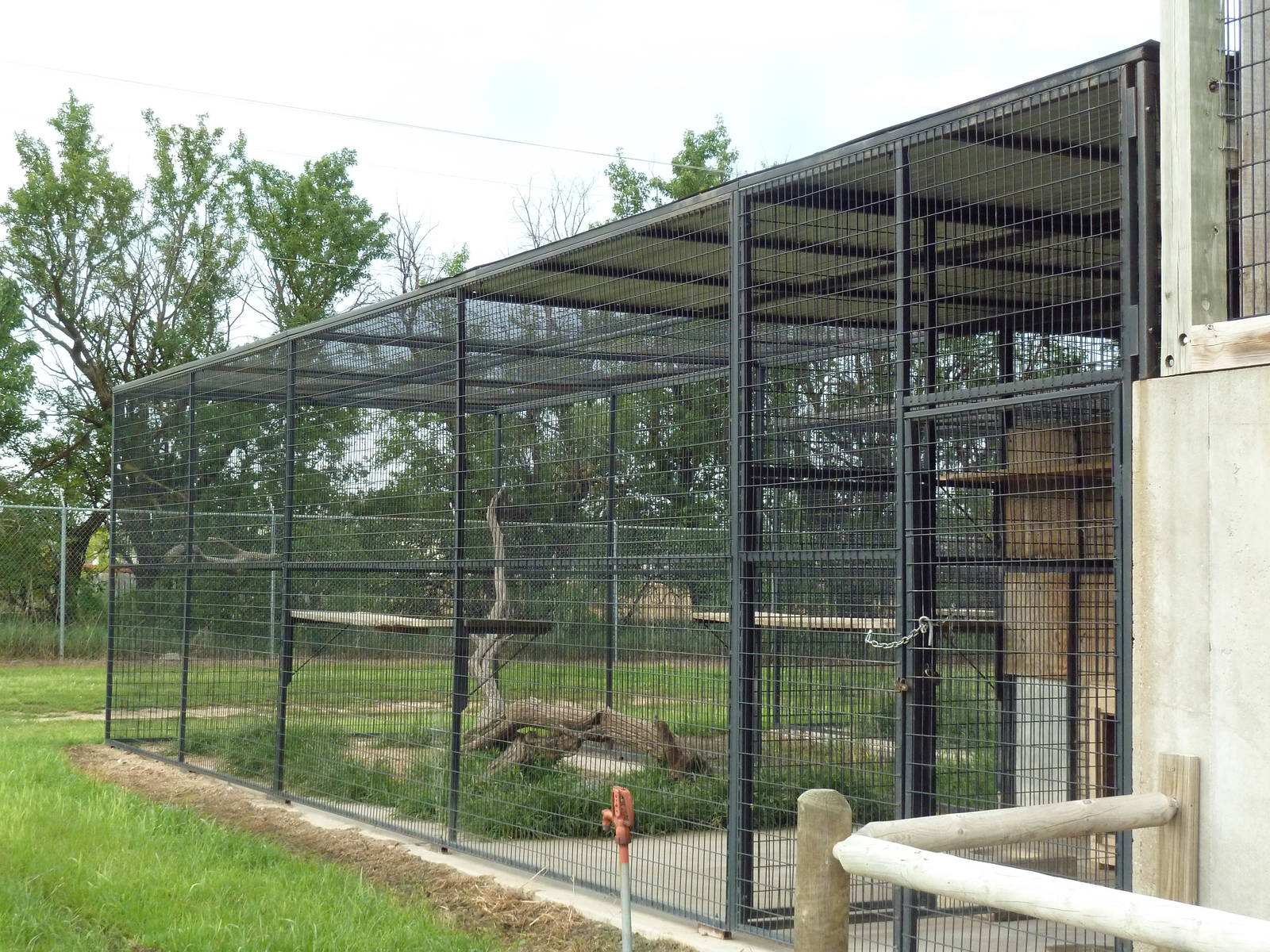 Snow Leopard Exhibit - Holding Area