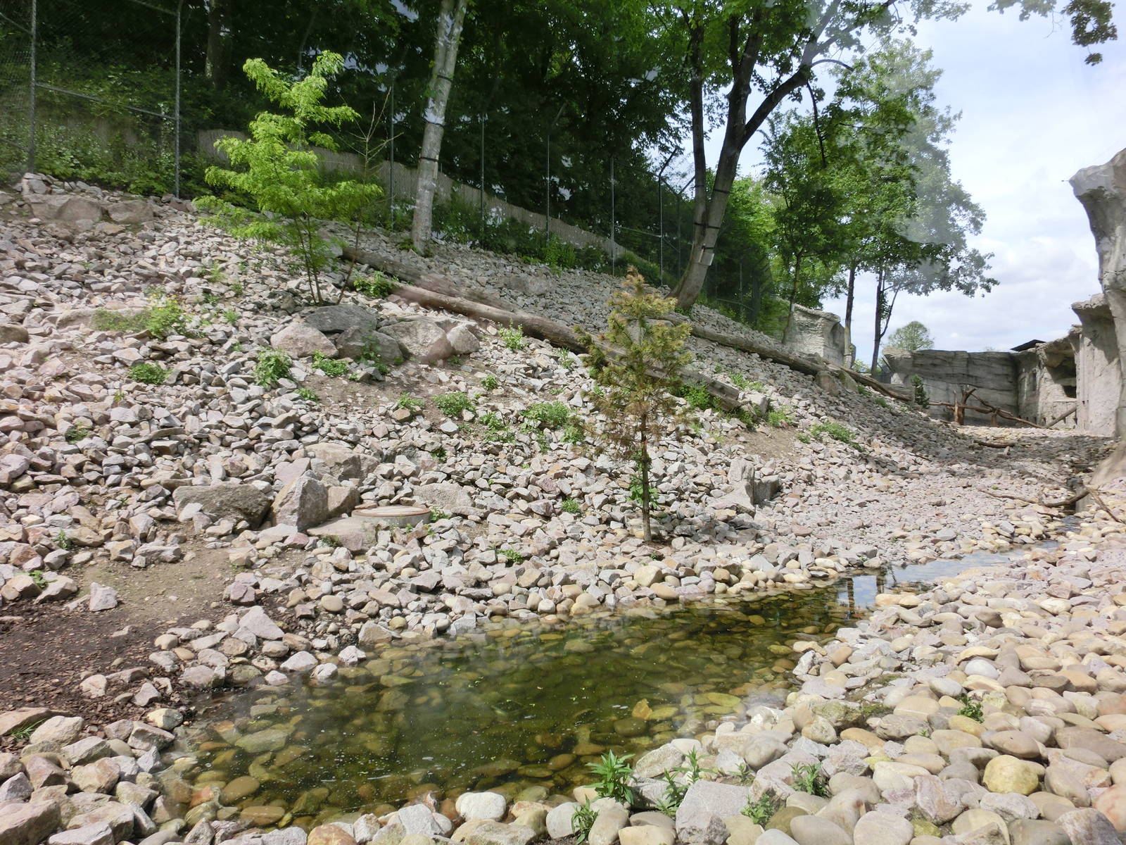 snow leopard exhibit - Karlsruhe Zoo