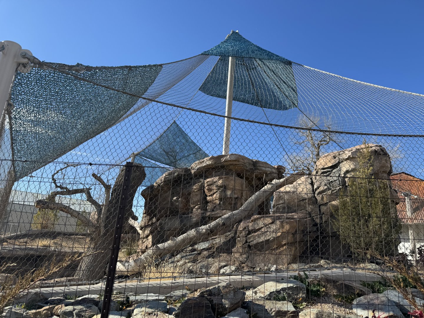 Snow leopard exhibit - left side of exhibit