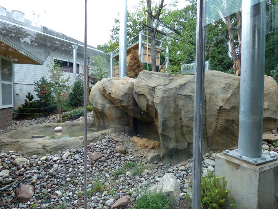 Snow Leopard Exhibit - Lower Level View