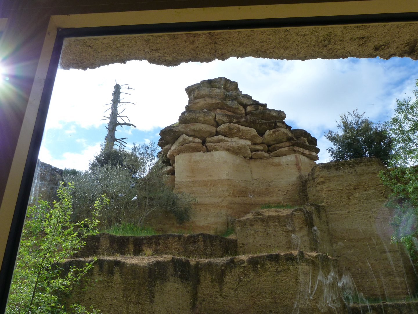 Snow leopard exhibit lower view -Bioparc de Doué la Fontaine (2025)