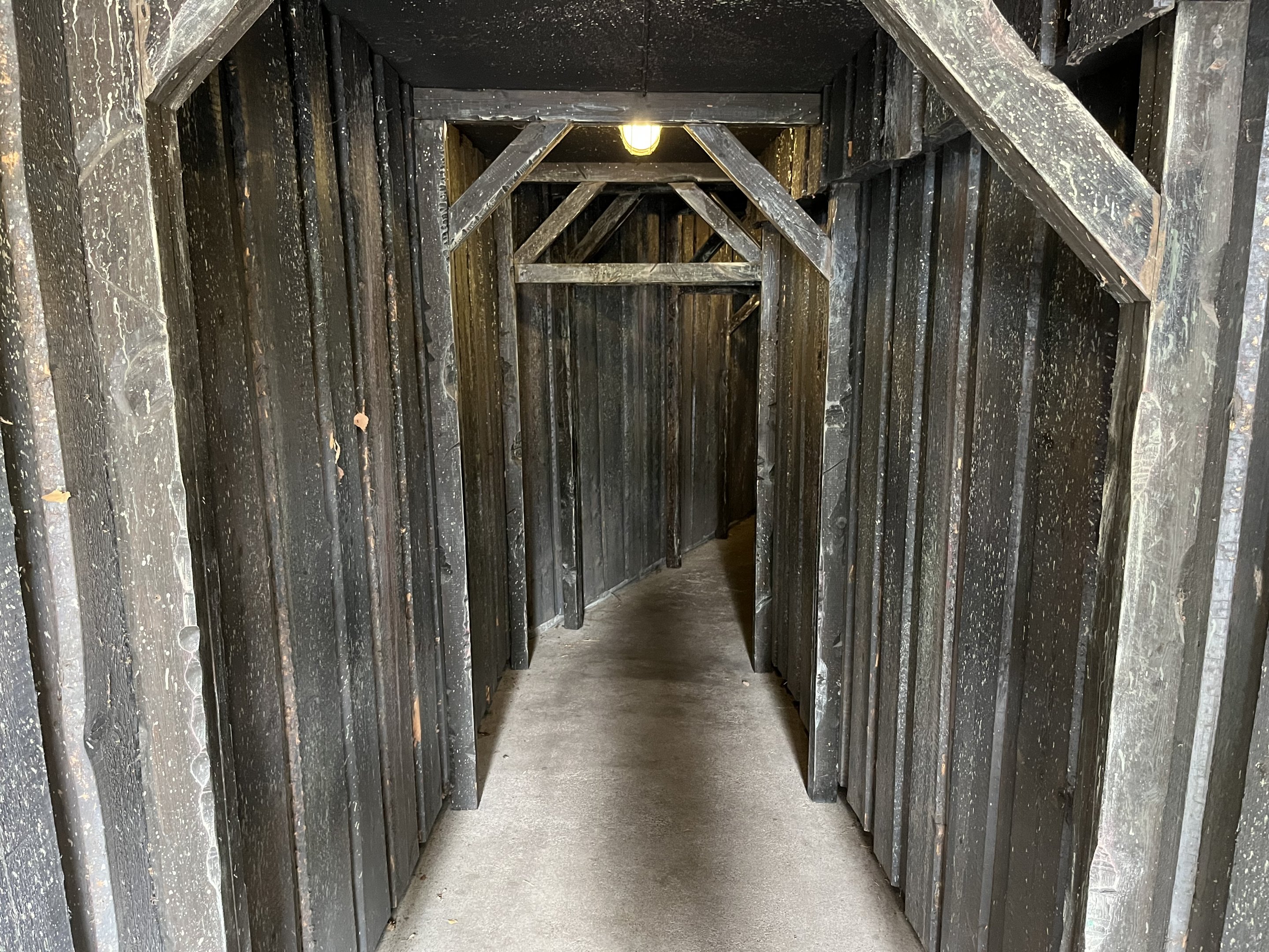 Snow Leopard Exhibit - mine shaft