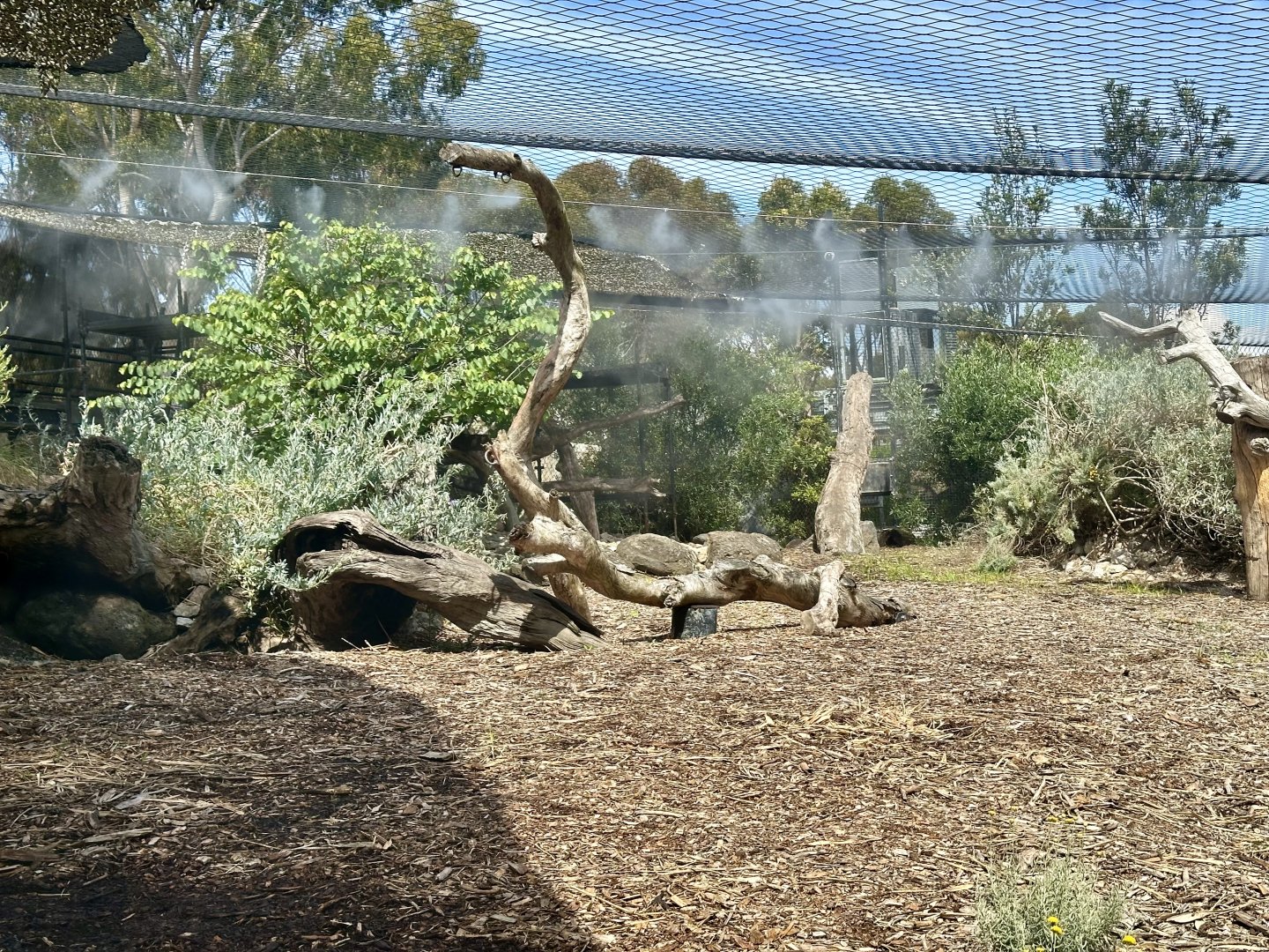 Snow Leopard Exhibit (Mist Spray)
