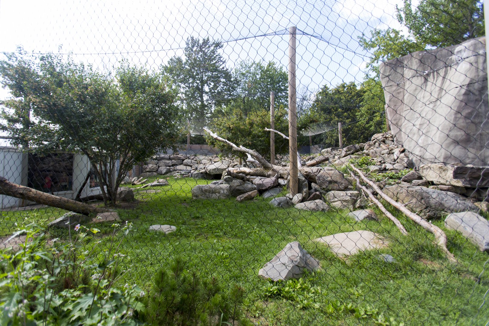 Snow Leopard Exhibit - Outside view