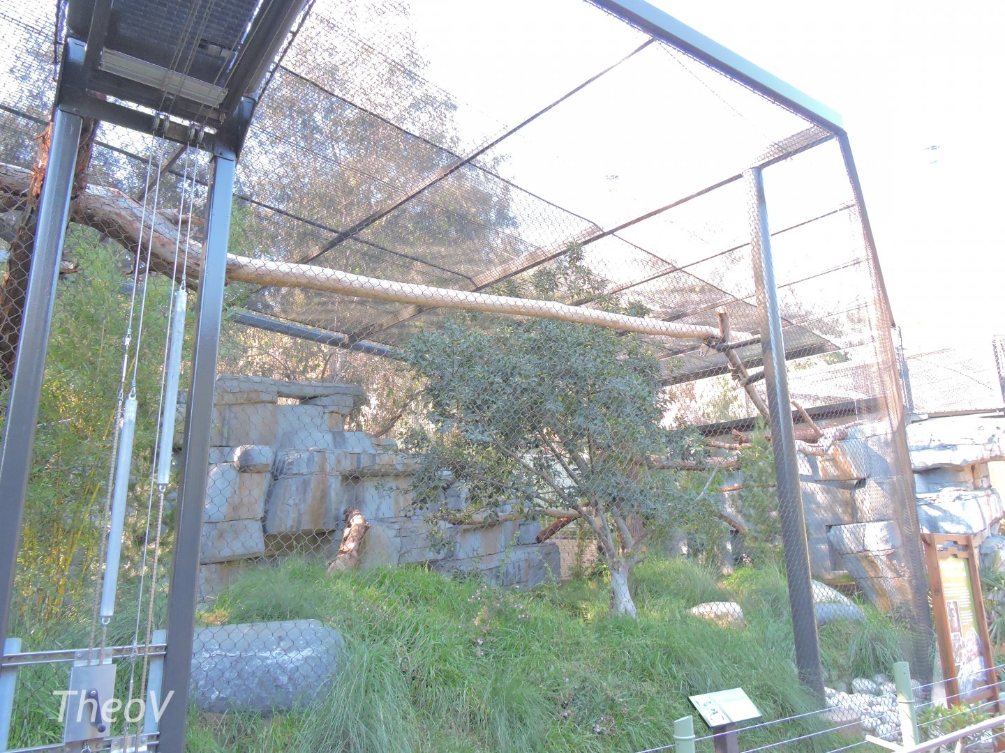 Snow leopard exhibit - Panda Canyon [2015]