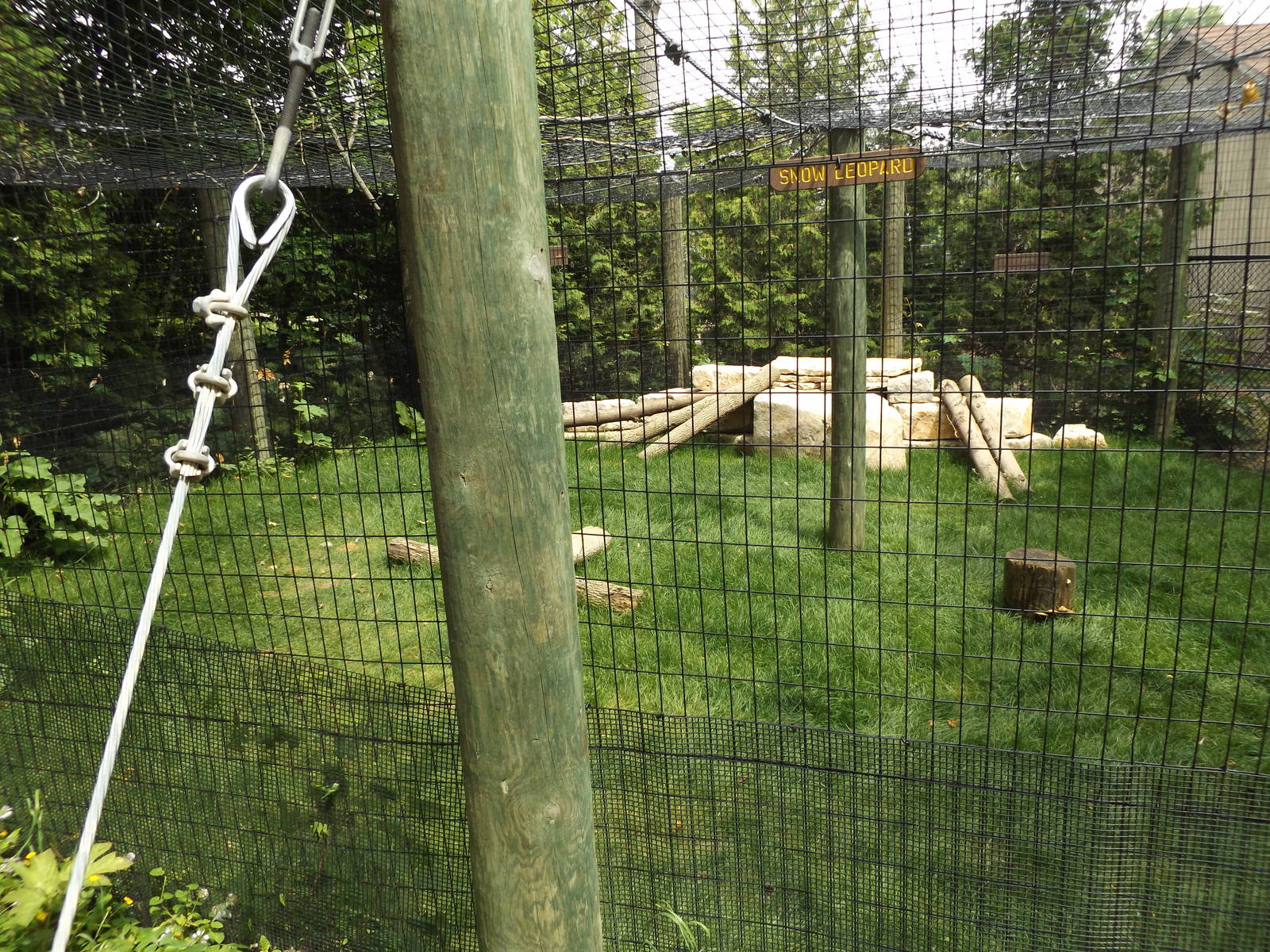 Snow Leopard Exhibit (Renovated in 2014)