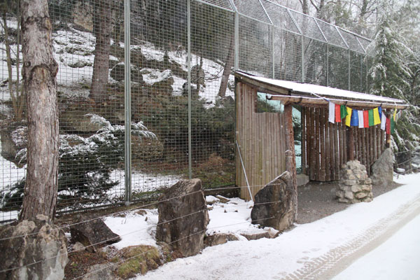 snow leopard exhibit (right of two)