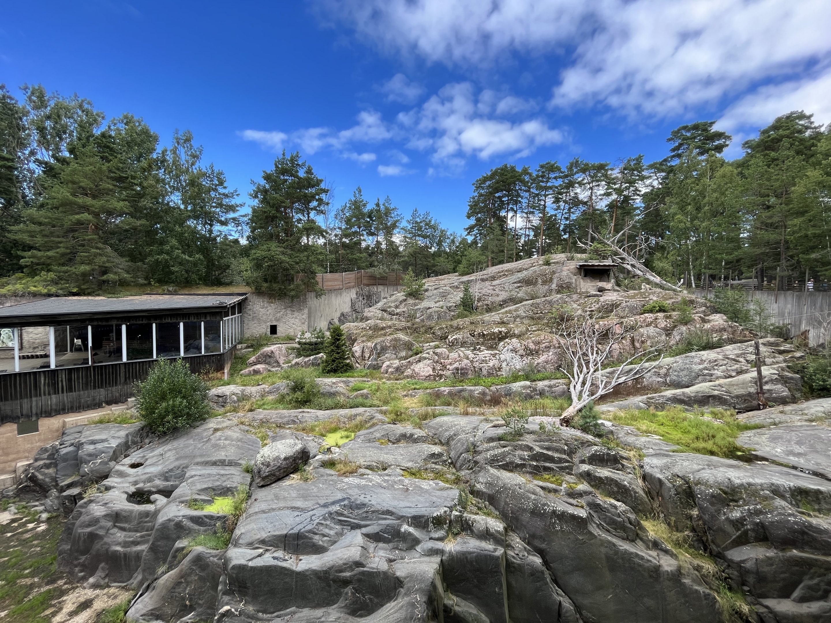 Snow Leopard Exhibit - see two cats?