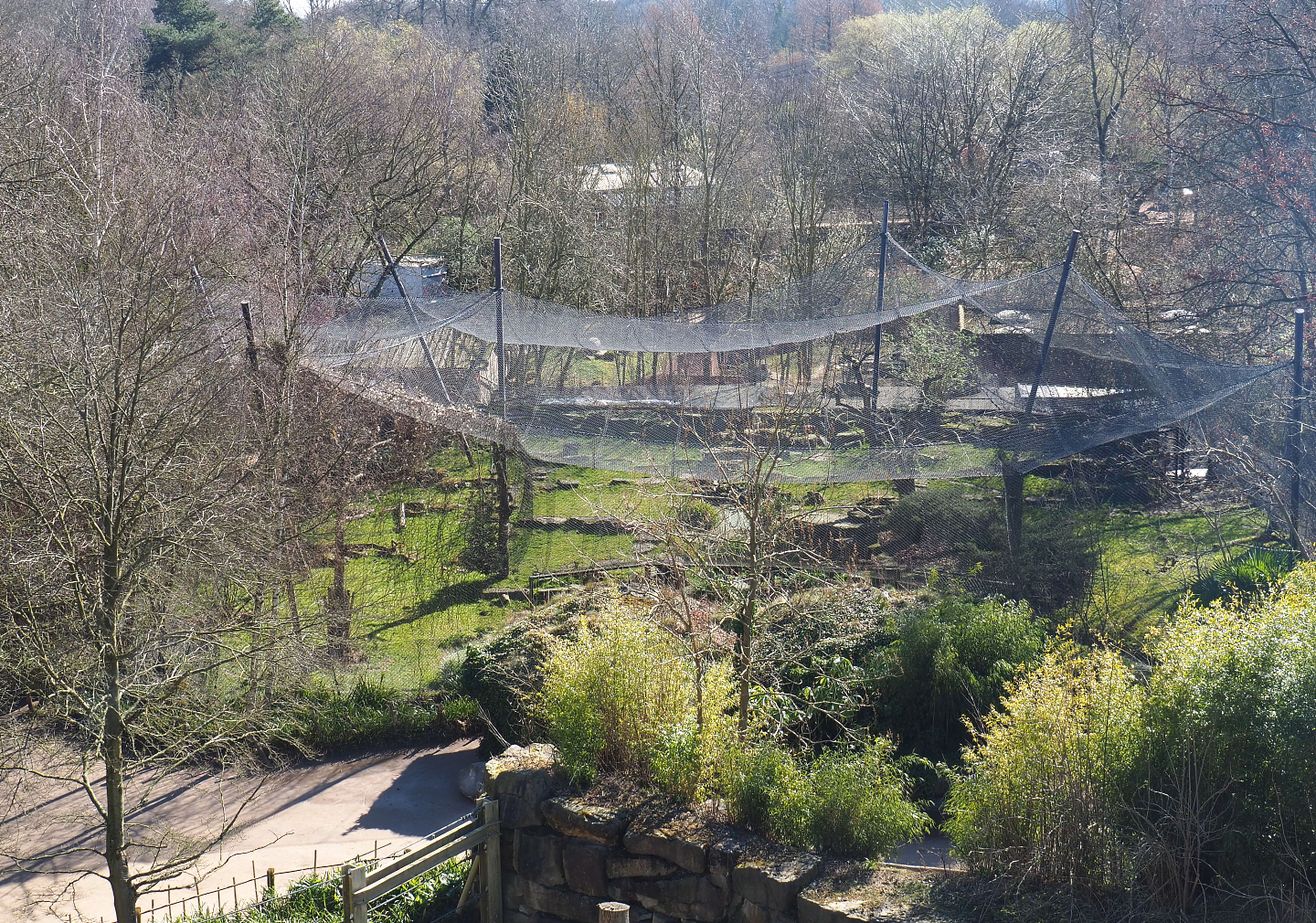 Snow leopard exhibit, seen from the tree-top walk, 2022-03-08