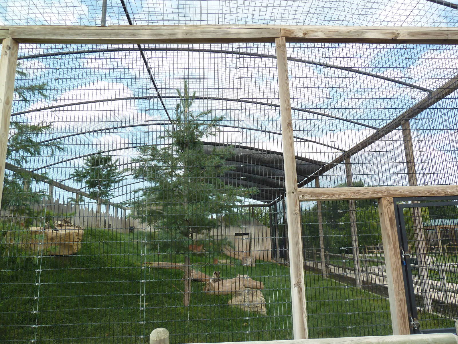 Snow Leopard Exhibit - Side View
