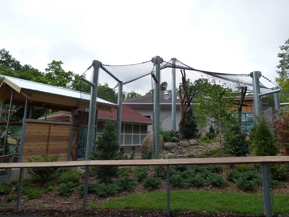 Snow Leopard Exhibit - Side View