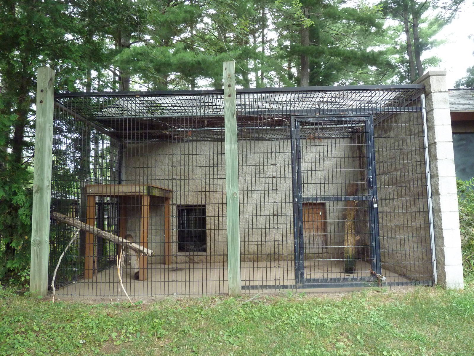 Snow Leopard Exhibit (side yard)