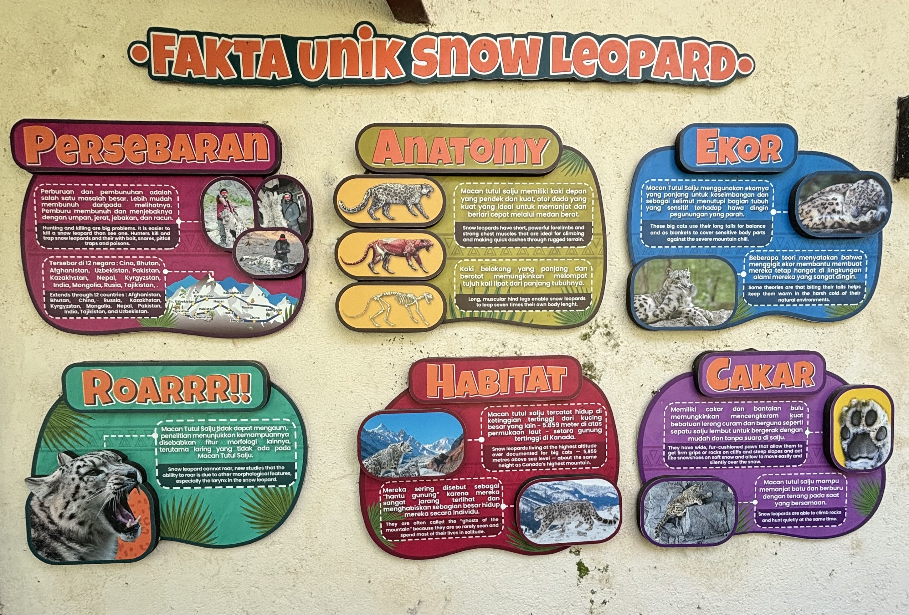 Snow Leopard Exhibit Sign