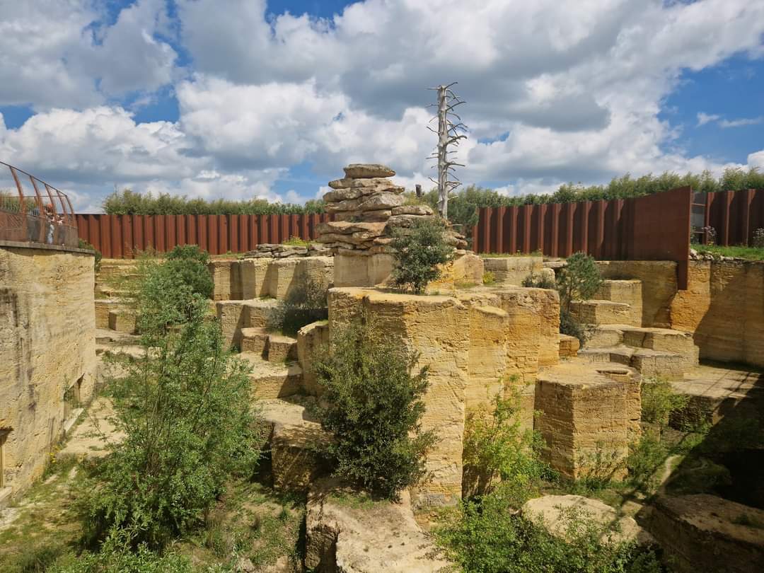 Snow Leopard exhibit, the gosts of Hymalaya