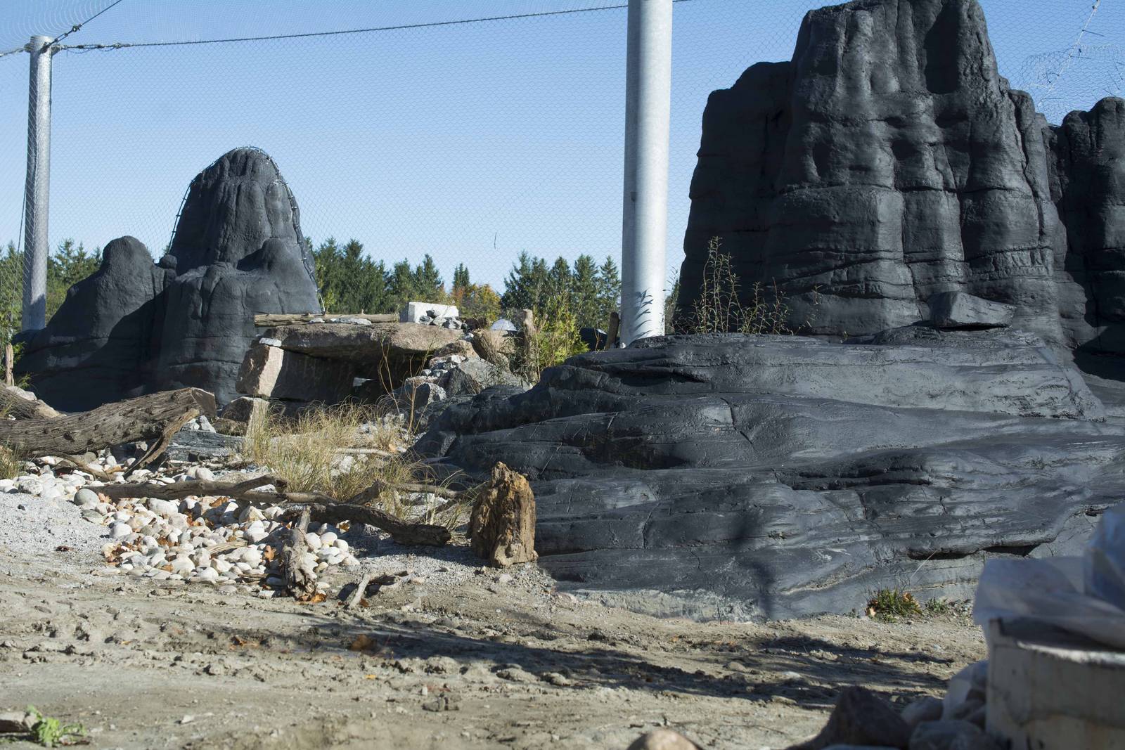 Snow Leopard Exhibit (under construction)