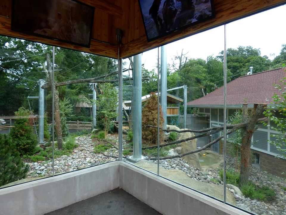 Snow Leopard Exhibit - Upper Level View