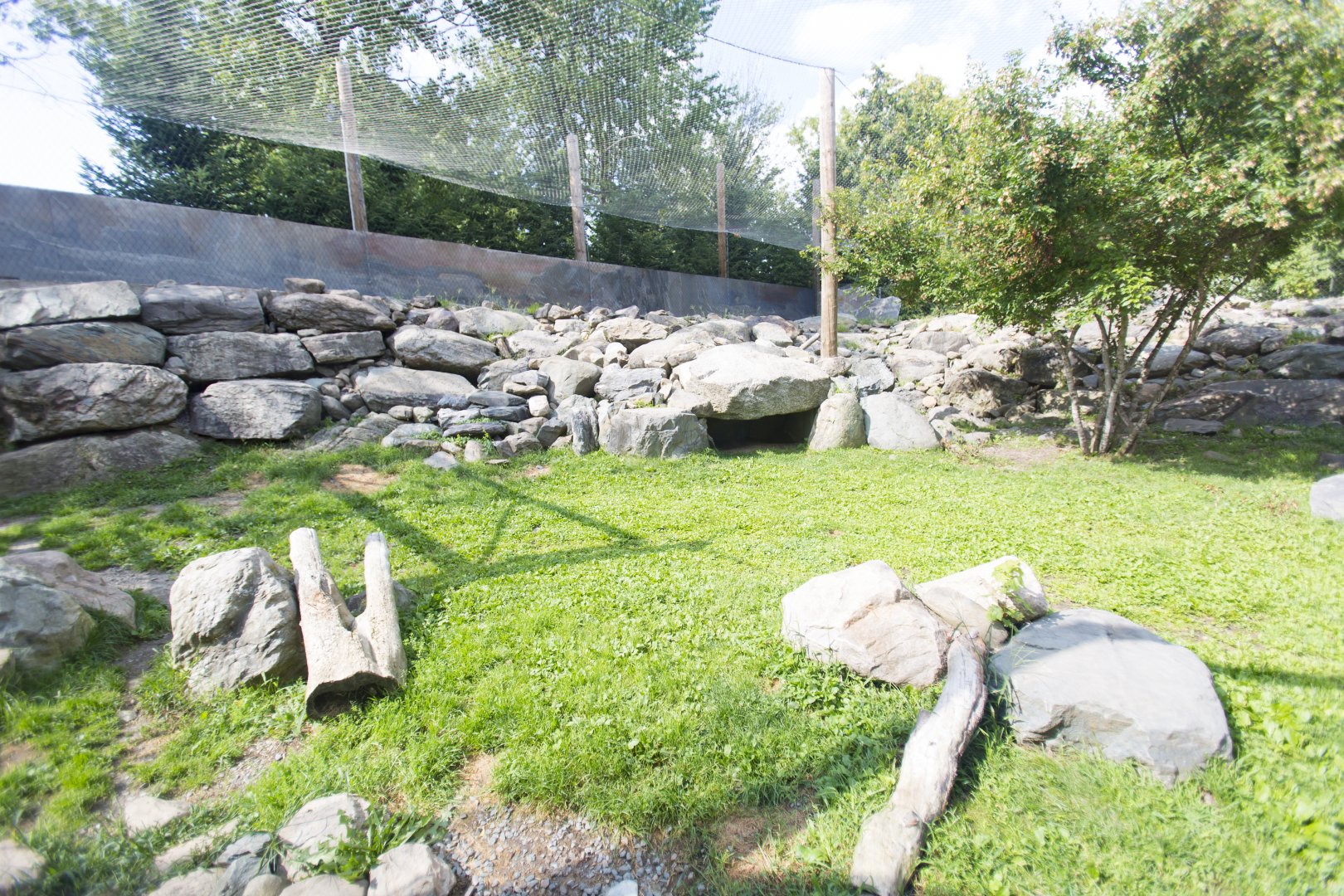 Snow Leopard Exhibit - View from inside visitor hut