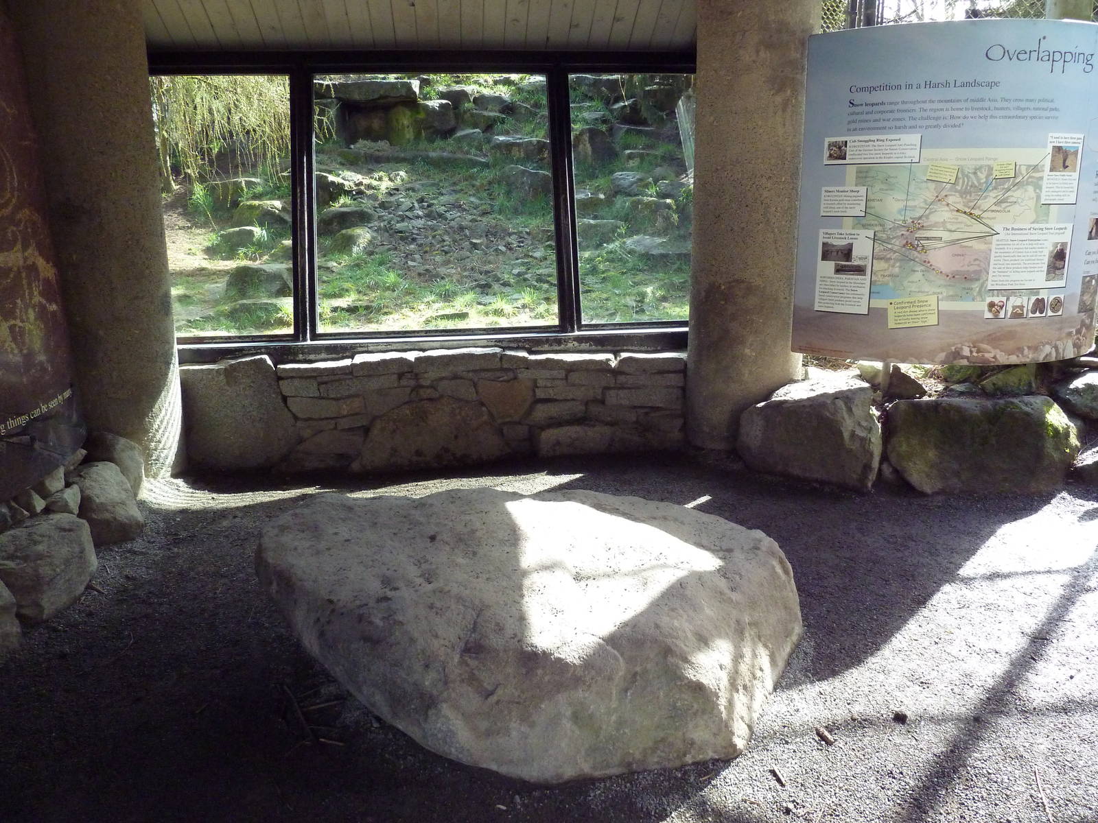 Snow Leopard Exhibit - Viewing Area