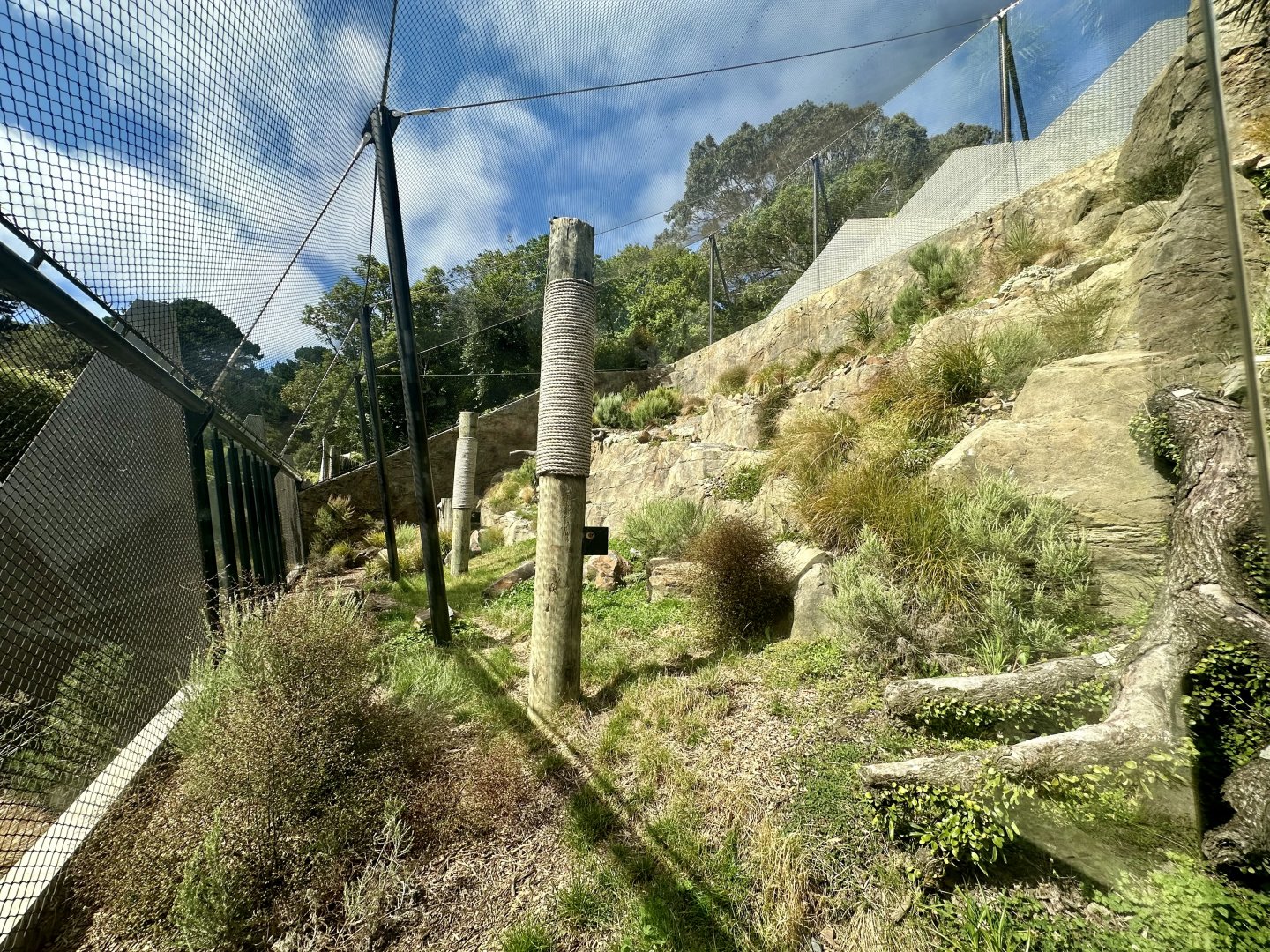 Snow Leopard Exhibit - Viewing Window