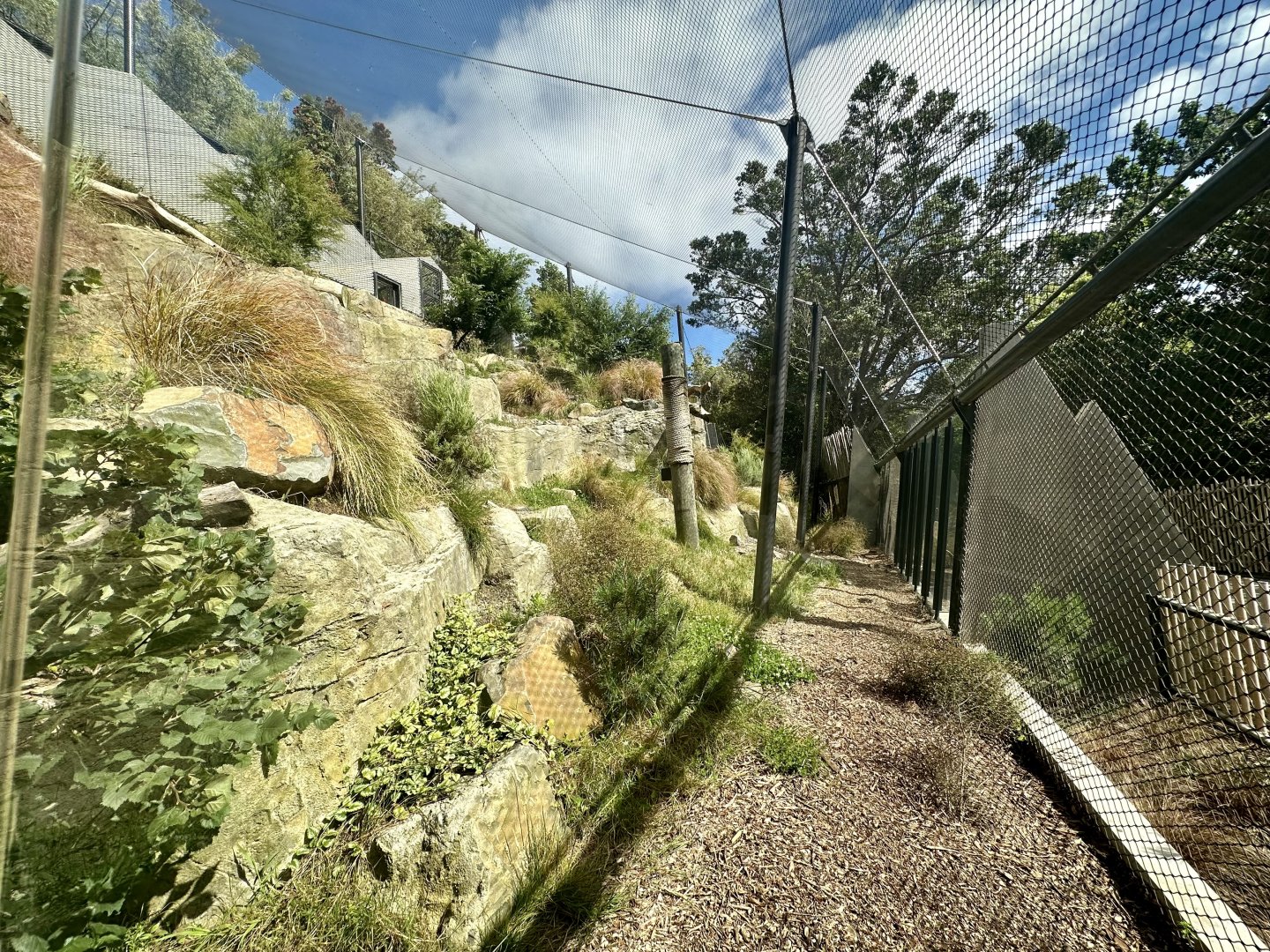 Snow Leopard Exhibit - Viewing Window