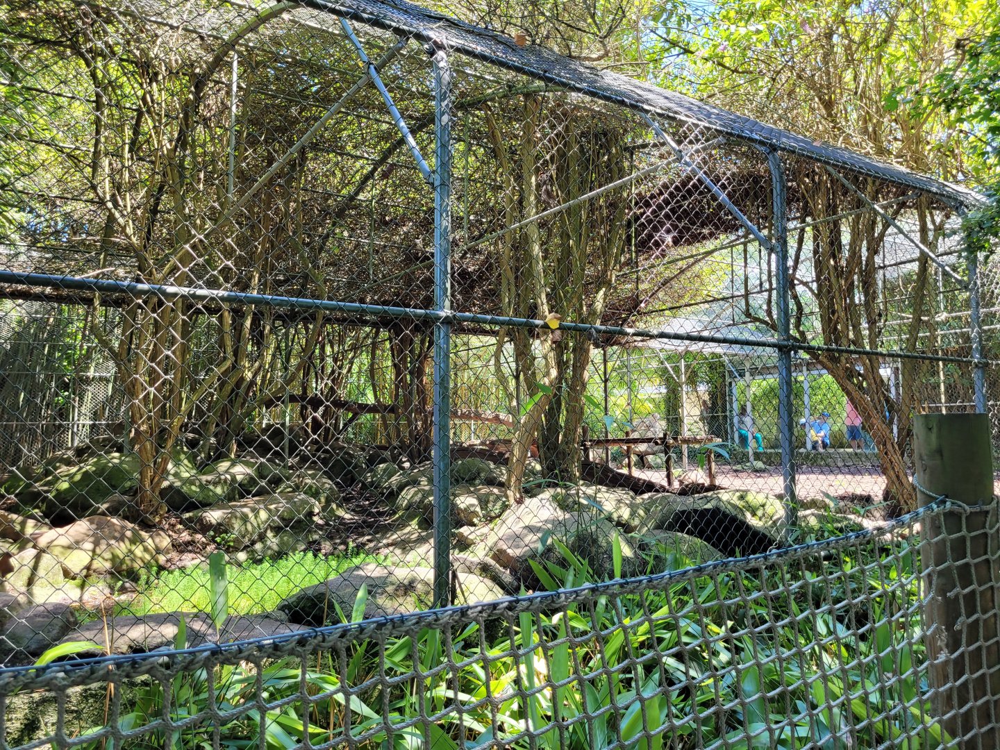 Snow leopard exhibit -Zoo d'Asson (2022)