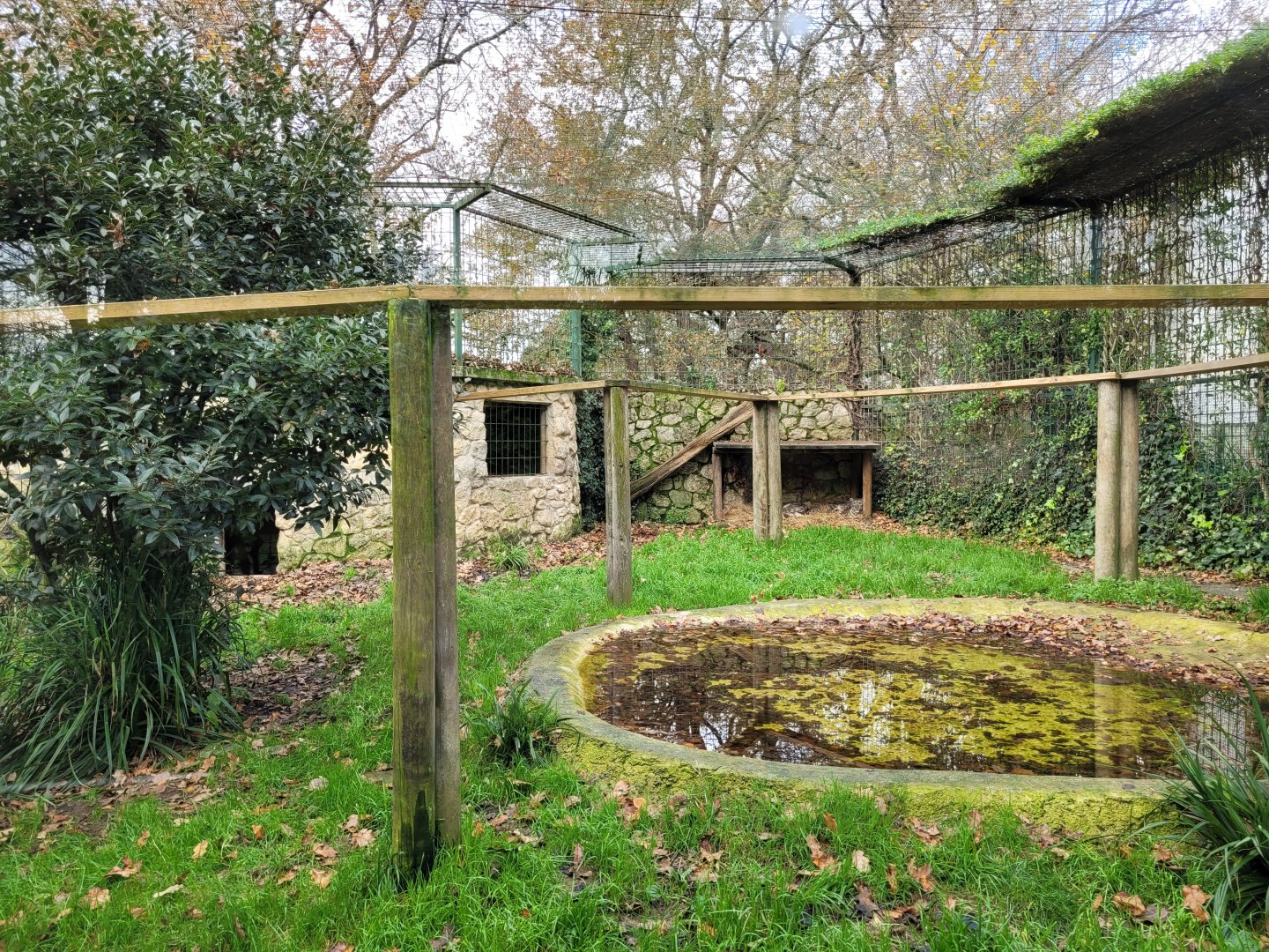 Snow leopard exhibit -Zoo de Santillana del Mar (2023)