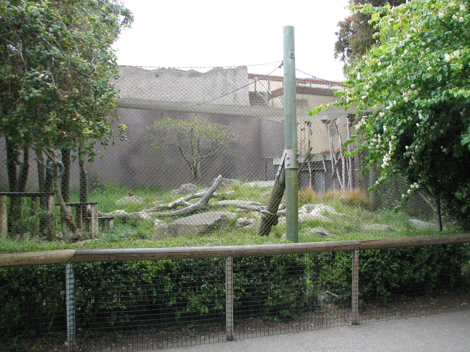 Snow Leopard Exhibit