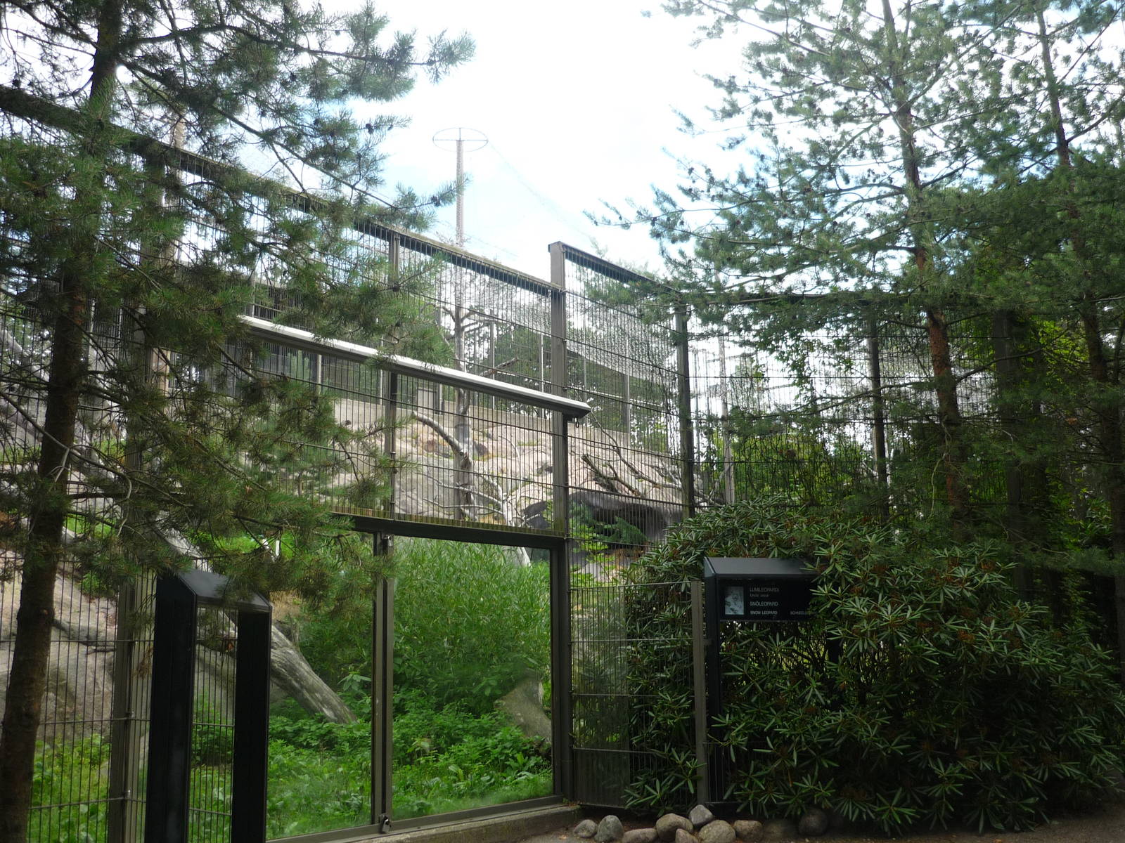 Snow Leopard Exhibit