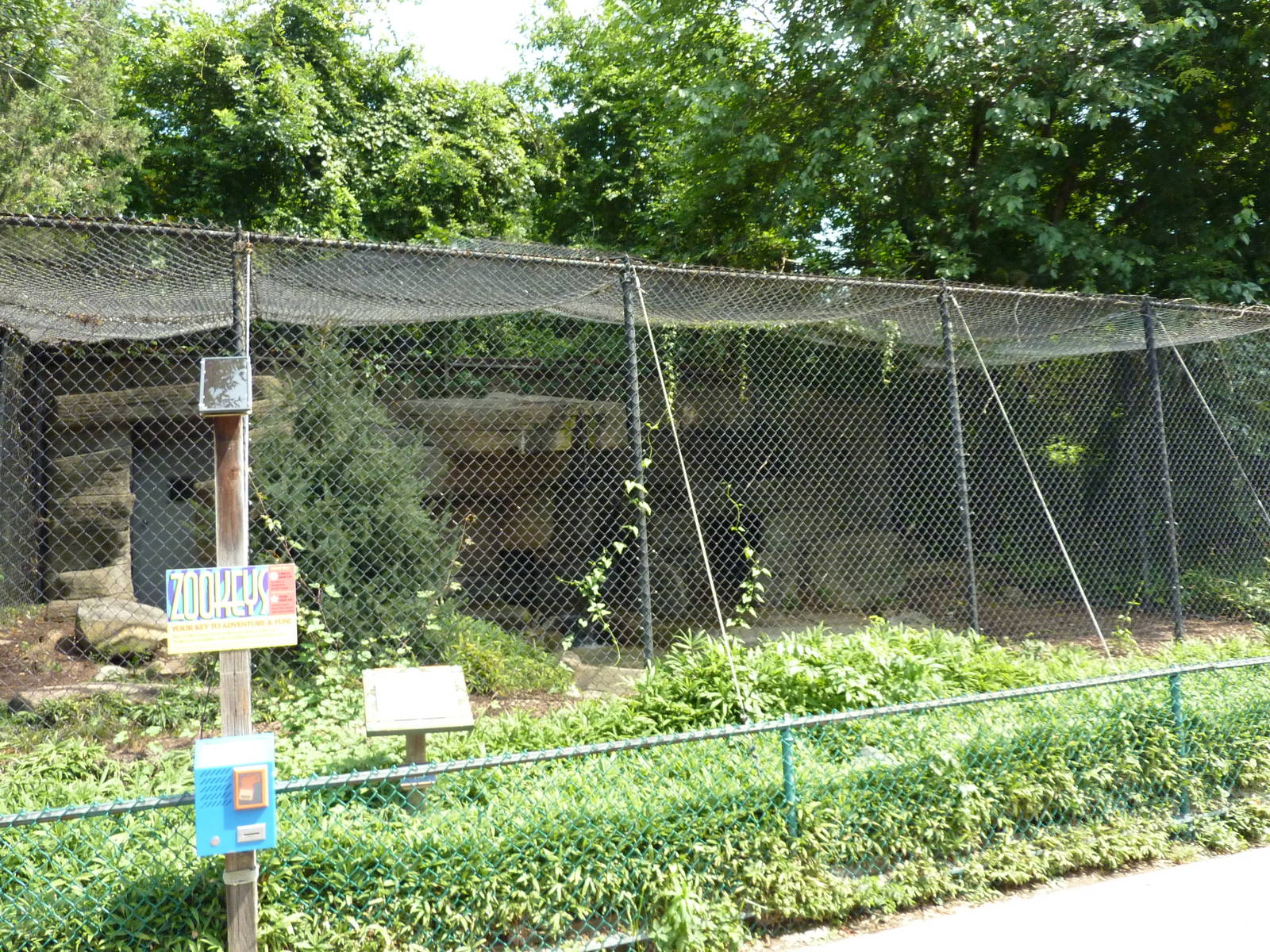 Snow Leopard Exhibit