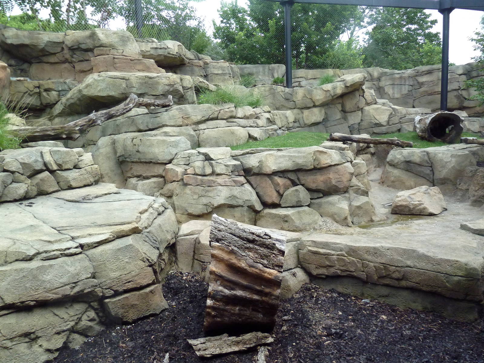 Snow Leopard Exhibit