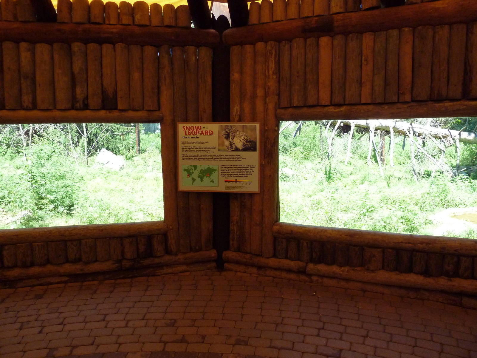 Snow Leopard Exhibit