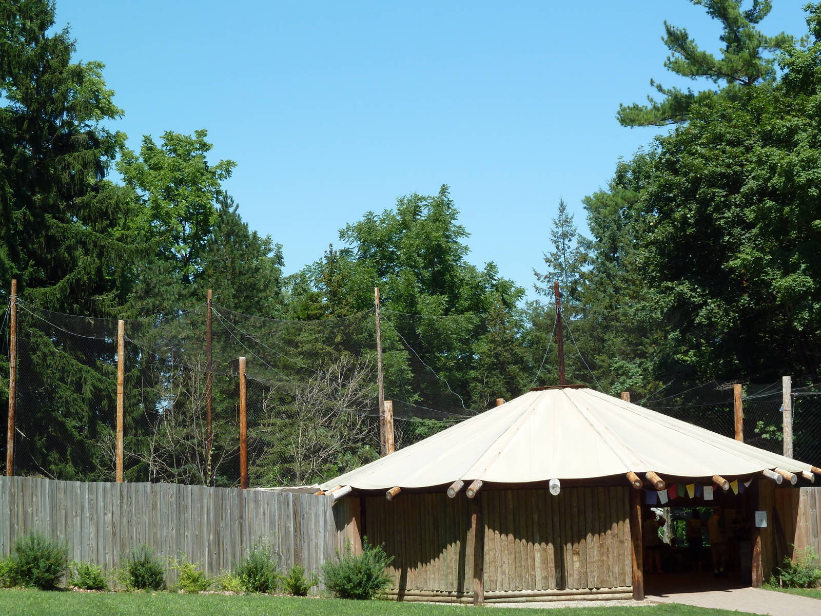 Snow Leopard Exhibit