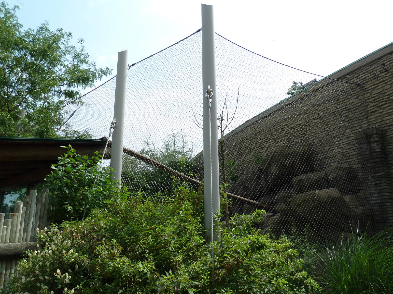 Snow Leopard Exhibit