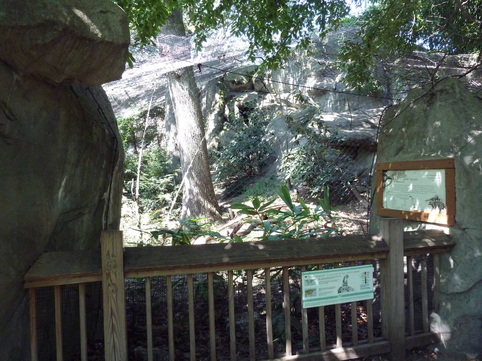 Snow Leopard Exhibit